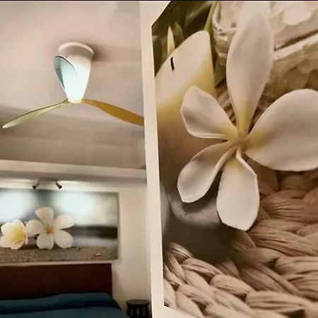 게스트하우스 Pomelia By Lulu