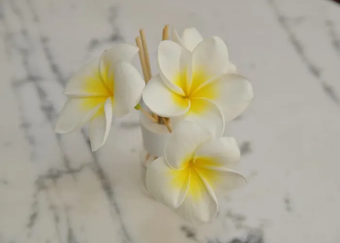 Pomelia By Lulu Gæstehus Mondello